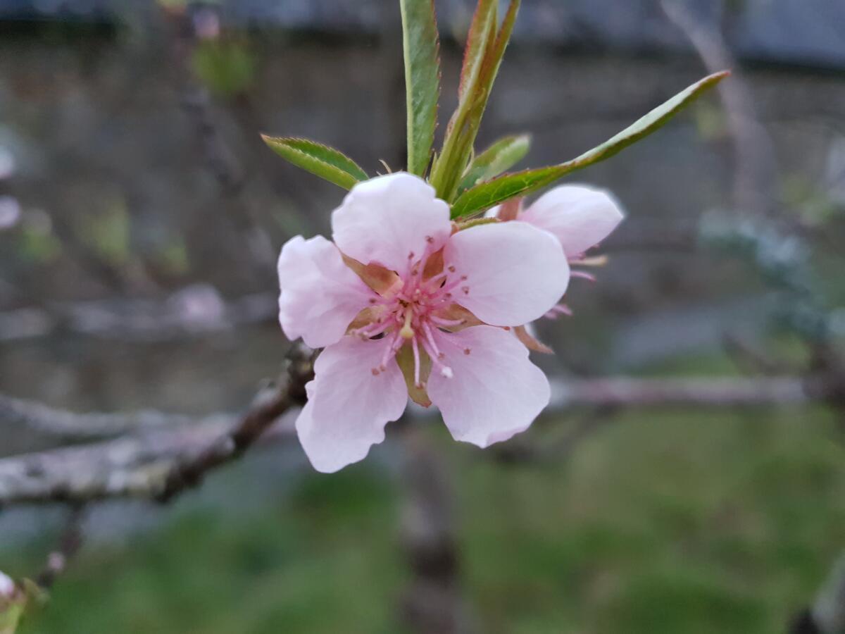 Saint-Aignan  Couloumine Breizh B&B 외부 사진